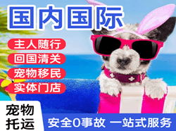 齐齐哈尔空运国际宠物托运 【国